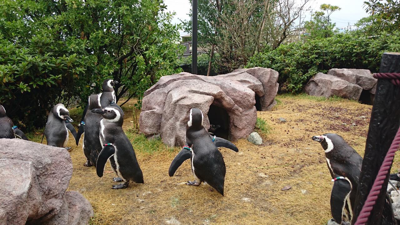 ホテル附船屋 上越市 エクステリア 写真